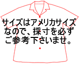 サイズは全てアメリカサイズです。採寸を必ずご確認下さい。